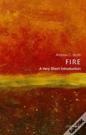 Capa do artigo Fire