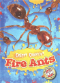 Fire Ants - Preview