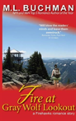 Fire At Gray Wolf Lookout