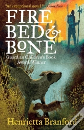Capa do artigo Fire, Bed And Bone