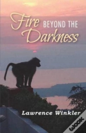Capa do artigo Fire Beyond The Darkness
