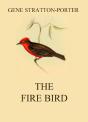 Fire Bird - Preview