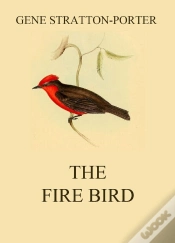 Capa do artigo Fire Bird