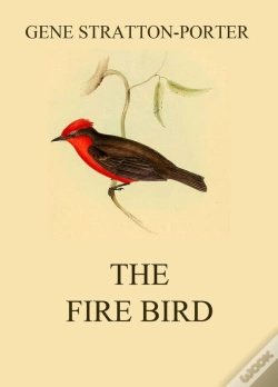 Capa do artigo Fire Bird