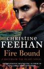 Fire Bound - Preview