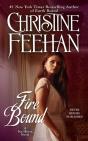 Fire Bound - Preview