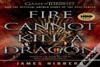 Fire Cannot Kill A Dragon