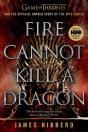 Fire Cannot Kill A Dragon - Preview