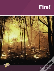 Capa do artigo Fire!