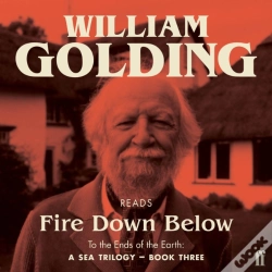 Capa do artigo Fire Down Below