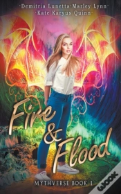 Capa do artigo Fire & Flood
