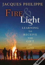 Capa do artigo Fire & Light
