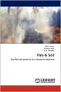 Fire & Soil - Preview