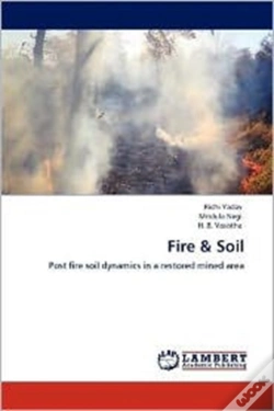 Capa do artigo Fire & Soil
