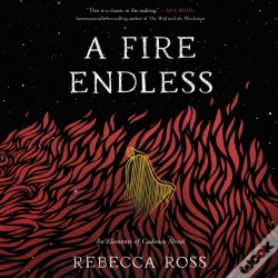 Capa do artigo Fire Endless