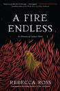 Fire Endless - Preview
