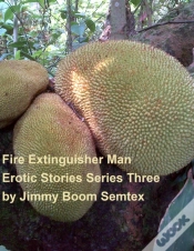 Capa do artigo Fire Extinguisher Man Erotic Stories Series Three