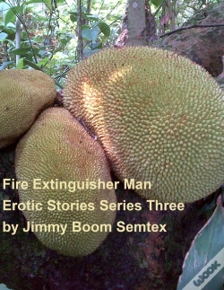 Capa do artigo Fire Extinguisher Man Erotic Stories Series Three