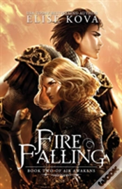 Capa do artigo Fire Falling