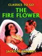 Fire Flower - Preview