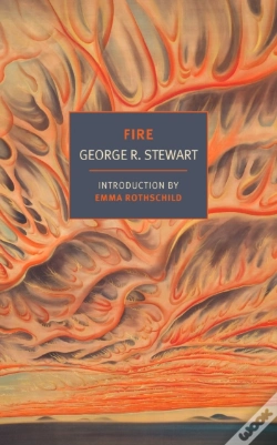Capa do artigo Fire