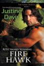 Fire Hawk - Preview
