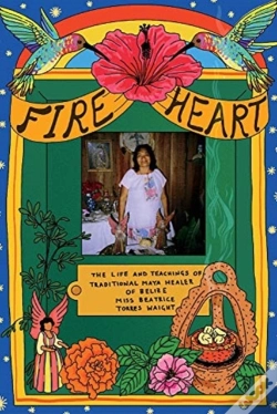Capa do artigo Fire Heart