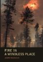 Fire In A Windless Place - Preview