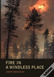 Capa do artigo Fire In A Windless Place