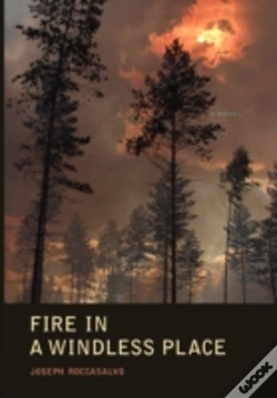Capa do artigo Fire In A Windless Place