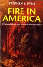 Fire In America - Preview