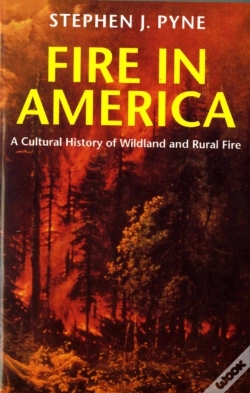 Capa do artigo Fire In America