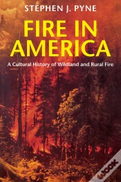 Capa do artigo Fire In America