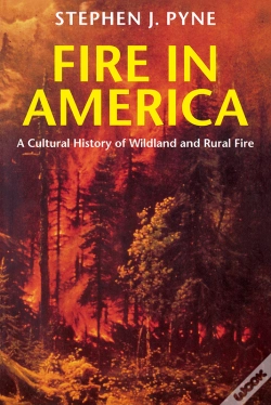 Capa do artigo Fire In America