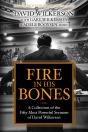 Fire In His Bones - Preview