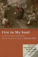 Fire In My Soul