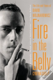 Capa do artigo Fire In The Belly