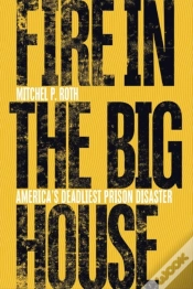 Capa do artigo Fire In The Big House