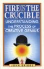 Fire In The Crucible - Preview