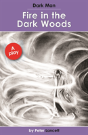 Fire In The Dark Woods - Preview
