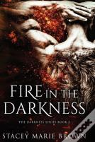 Fire In The Darkness
