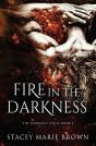 Fire In The Darkness - Preview