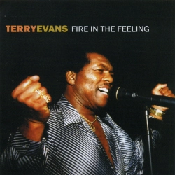 Capa do artigo Fire In The Feeling - CD