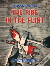 Capa do artigo Fire In The Flint