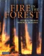 Fire In The Forest - Preview