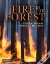 Capa do artigo Fire In The Forest