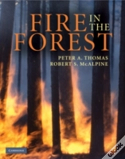 Capa do artigo Fire In The Forest