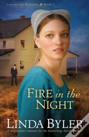 Capa do artigo Fire In The Night