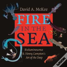 Fire In The Sea