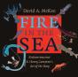 Fire In The Sea - Preview